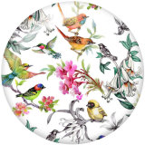 20MM   Hummingbird   Print  glass snaps buttons