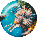 20MM  Ocean World  Print  glass snaps buttons Beach Ocean