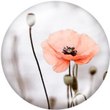 20MM  Flower  Print glass snaps buttons