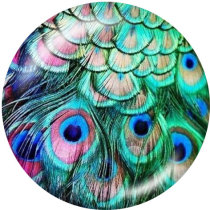 20MM  Peacock feather   Print glass snaps buttons