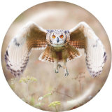 20MM  Owl  rabbit  Print  glass snaps buttons