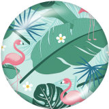 20MM  Flamingo   Print  glass snaps buttons