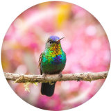 20MM  bird  Print glass snaps buttons