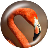 20MM  Owl  Flamingo  Print  glass snaps buttons