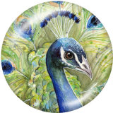20MM  Owl  Flamingo  Print  glass snaps buttons