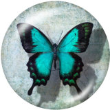 20MM  Butterfly  Print  glass snaps buttons