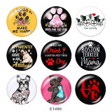 20MM  Dog  Print glass snaps buttons