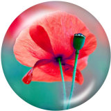 20MM  Flower  Print glass snaps buttons