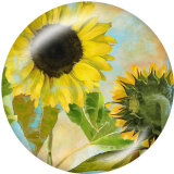 20MM  Sunflower  Print  glass snaps buttons