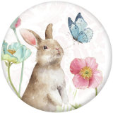20MM  Owl  rabbit  Print  glass snaps buttons