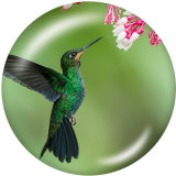 20MM  bird  Print glass snaps buttons