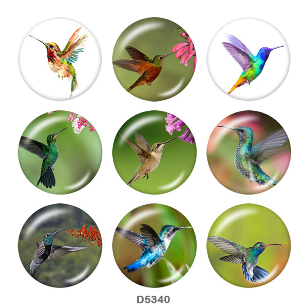 20MM  bird  Print glass snaps buttons