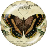 20MM  Butterfly  Print  glass snaps buttons