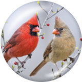 20MM  Bird  Print  glass snaps buttons
