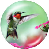 20MM  Hummingbird   Print  glass snaps buttons