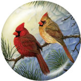 20MM  bird  Print glass snaps buttons