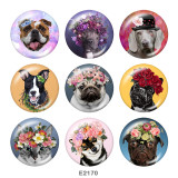 20MM  Dog  Cat  Print  glass snaps buttons