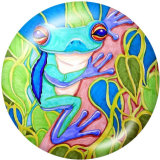 20MM  Frog  Pattern  Print  glass snaps buttons