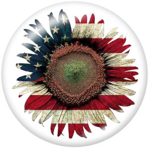 20MM USA Flag  Print  glass snaps buttons
