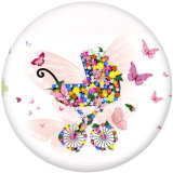 20MM  bicycle  Butterfly  Print  glass snaps buttons