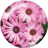 20MM  Flower  Print  glass snaps buttons