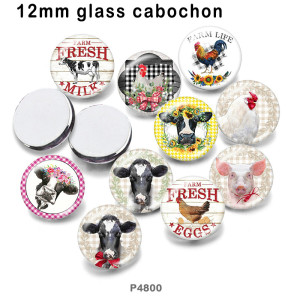 10pcs/lot farm  glass picture printing products of various sizes  Fridge magnet cabochon