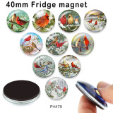10pcs/lot bird glass picture printing products of various sizes  Fridge magnet cabochon