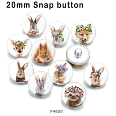 10pcs/lot animal glass picture printing products of various sizes  Fridge magnet cabochon