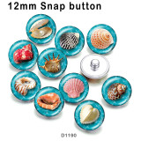 10pcs/lot shell glass picture printing products of various sizes  Fridge magnet cabochon