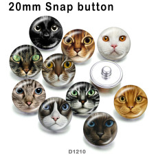 10pcs/lot cat glass picture printing products of various sizes  Fridge magnet cabochon
