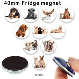 10pcs/lot dog glass picture printing products of various sizes  Fridge magnet cabochon