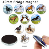 10pcs/lot horse glass picture printing products of various sizes  Fridge magnet cabochon