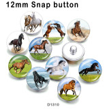 10pcs/lot horse glass picture printing products of various sizes  Fridge magnet cabochon