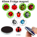10pcs/lot ladybug glass picture printing products of various sizes  Fridge magnet cabochon