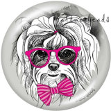 20MM   Dog  Cat  Print   glass  snaps buttons