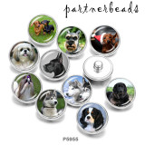 20MM   Dog   Print   glass  snaps buttons