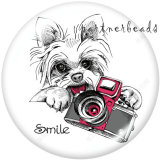 20MM  Dog  Print   glass  snaps buttons