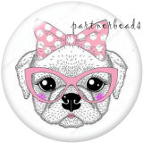 20MM  Dog  Cat  Print   glass  snaps buttons