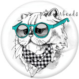 20MM   Cat  Print   glass  snaps buttons