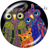 20MM  Butterfly  Owl  Print   glass  snaps buttons