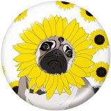20MM  Cat  Dog  Print   glass  snaps buttons