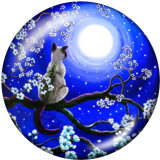 20MM   Moon  Cat  Print   glass  snaps buttons