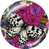 20MM  Flower  Butterfly   Print   glass  snaps buttons