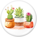 20MM  Cactus  Print   glass  snaps buttons