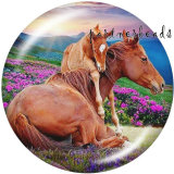 20MM  Dreamcatcher  Horse  Print   glass  snaps buttons