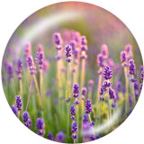 20MM   Flower   Print   glass  snaps buttons