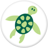 20MM  Sea  turtle  Print   glass  snaps buttons Beach Ocean