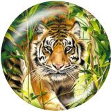 20MM  Tiger  Deer   Print   glass  snaps buttons