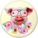 20MM    Pig   Print   glass  snaps buttons