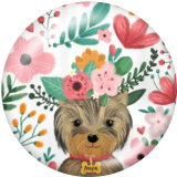 20MM  Flower   Dog   Print   glass  snaps buttons